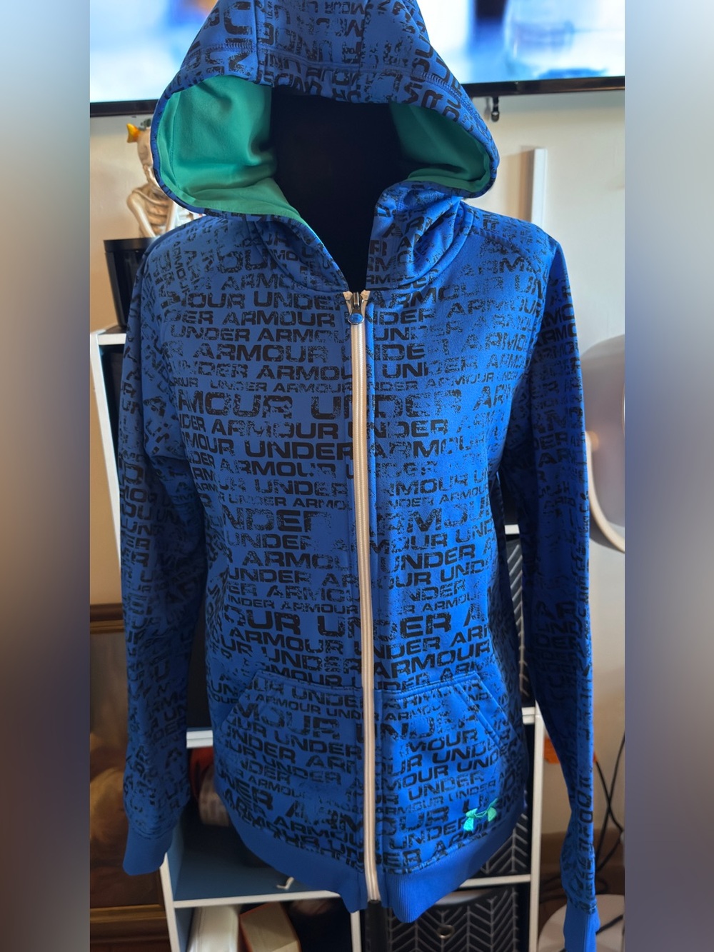 Under Armour Graphic Full-Zip Hoodie